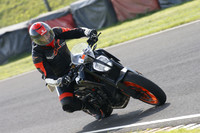 Fowlers 0994
