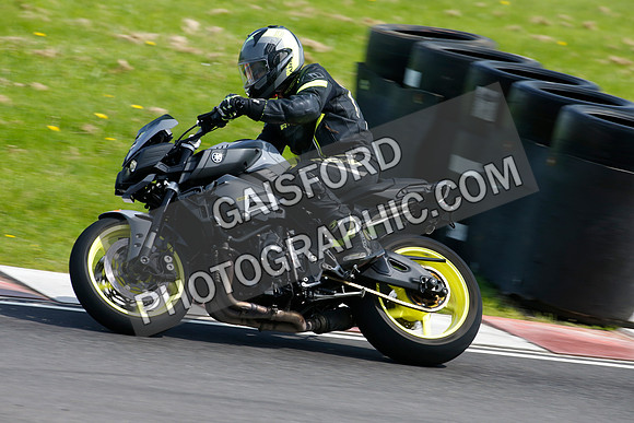 Fowlers 1509