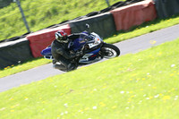 Fowlers 0986