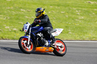 Fowlers 1350