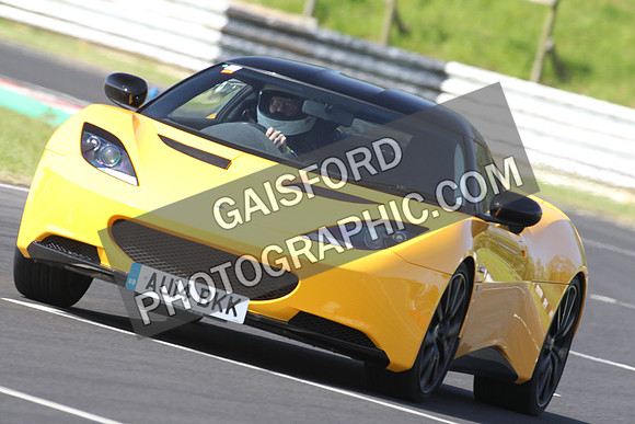 Lotus 0384