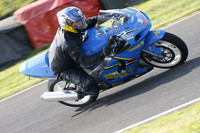 Fowlers 0865