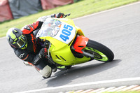 Fowlers 0673