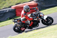 Fowlers 0951
