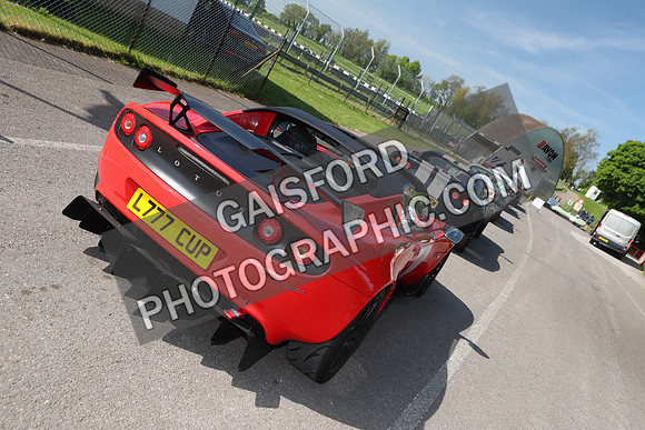 Lotus 1637