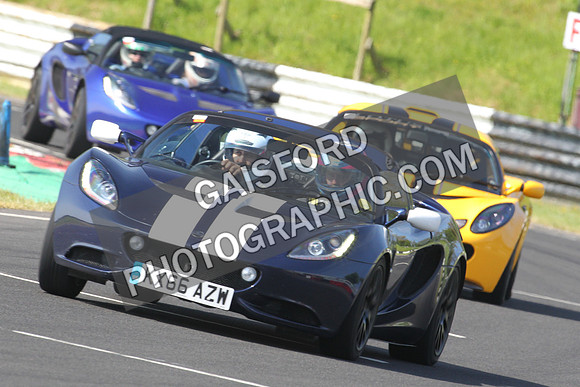 Lotus 0250