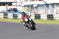 Fowlers 0321