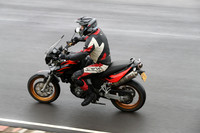 Fowlers 0671