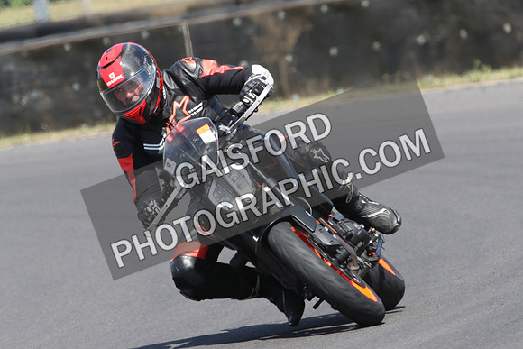 BIKES 0735