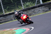 Fowlers 0812