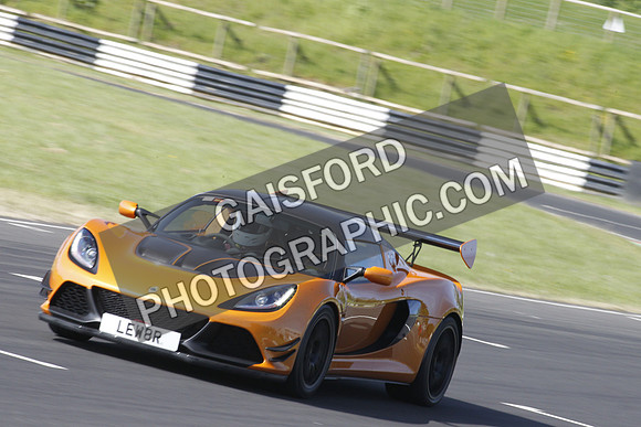 Lotus 0139