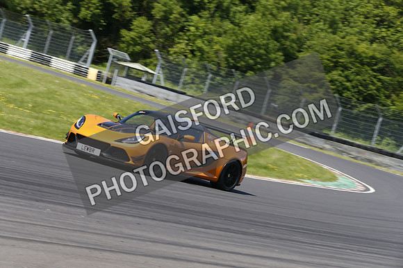 Lotus 0845