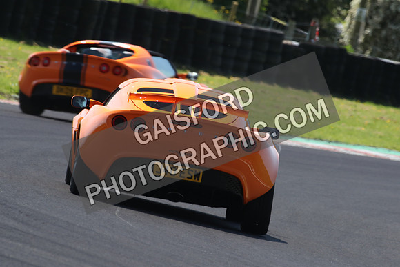 Lotus 0603