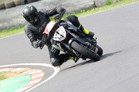 Fowlers 1066