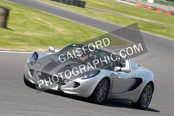Lotus 2447