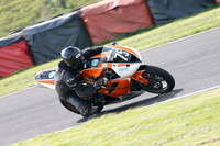 Fowlers 0981