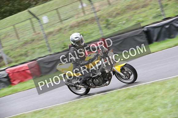 BIKES 0226