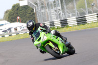 Fowlers 0456