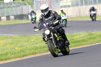 Fowlers 0270