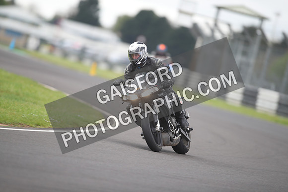 BIKES 1199