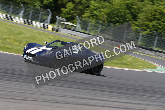 Lotus 0848