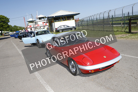 Lotus 2556