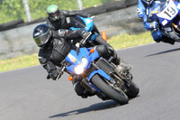 Fowlers 0401