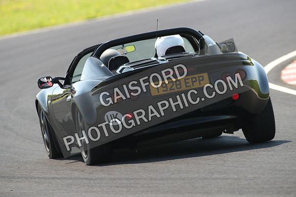 Lotus 0634