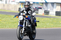 Suzuki SV blue