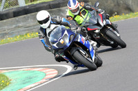 Fowlers 0699