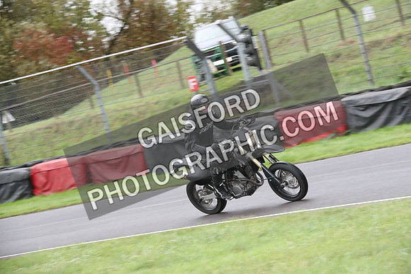 BIKES 0236