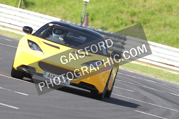 Lotus 0383