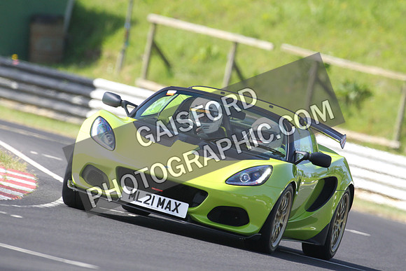 Lotus 0431