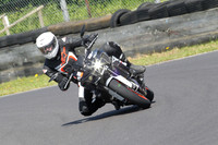 Fowlers 0733