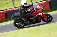 Fowlers 1252