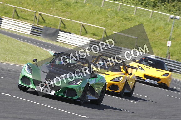 Lotus 0334