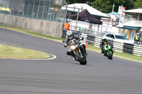 Fowlers 0491