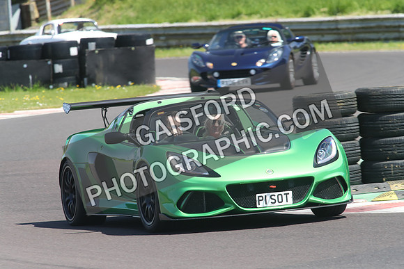 Lotus 1036