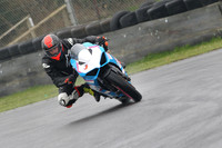 Fowlers 0269