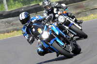 Fowlers 0992