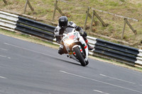 Fowlers 0407