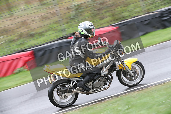 BIKES 0228