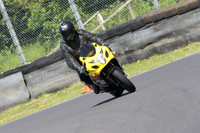 Fowlers 0839