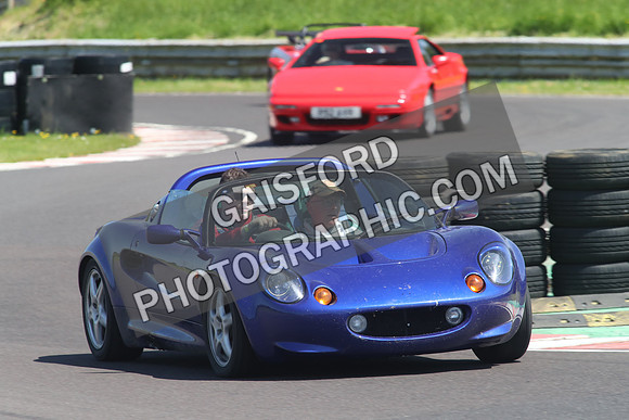 Lotus 0991