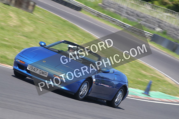 Lotus 2349