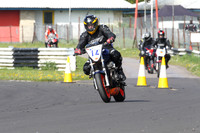 Fowlers 0234