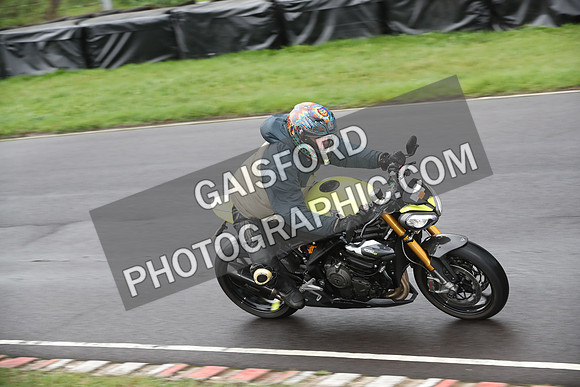 BIKES 0248