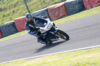 Fowlers 0991