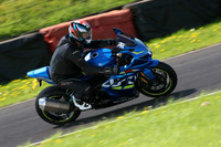 Fowlers 0964