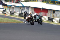 Fowlers 0776